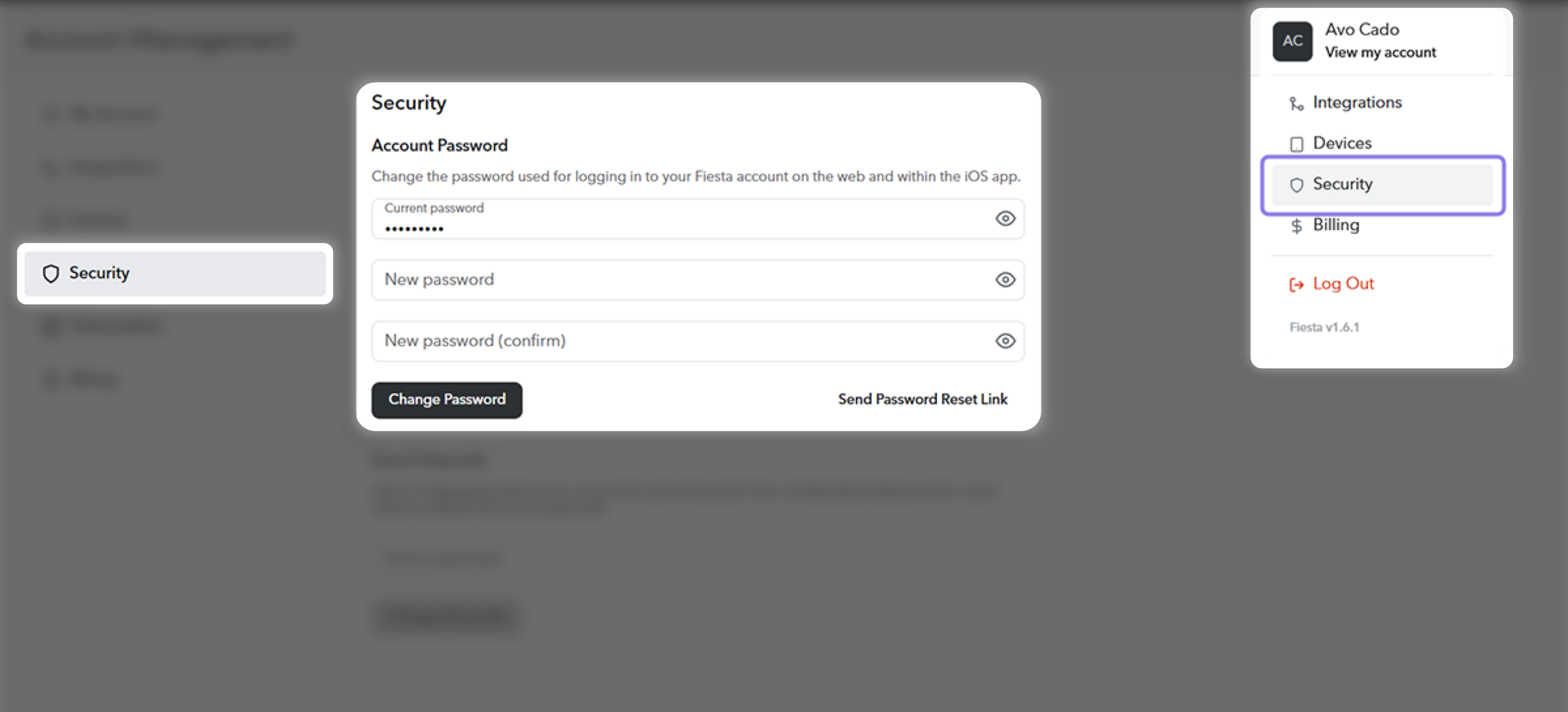 Walkthrough - Updating The Fiesta Account Password.png