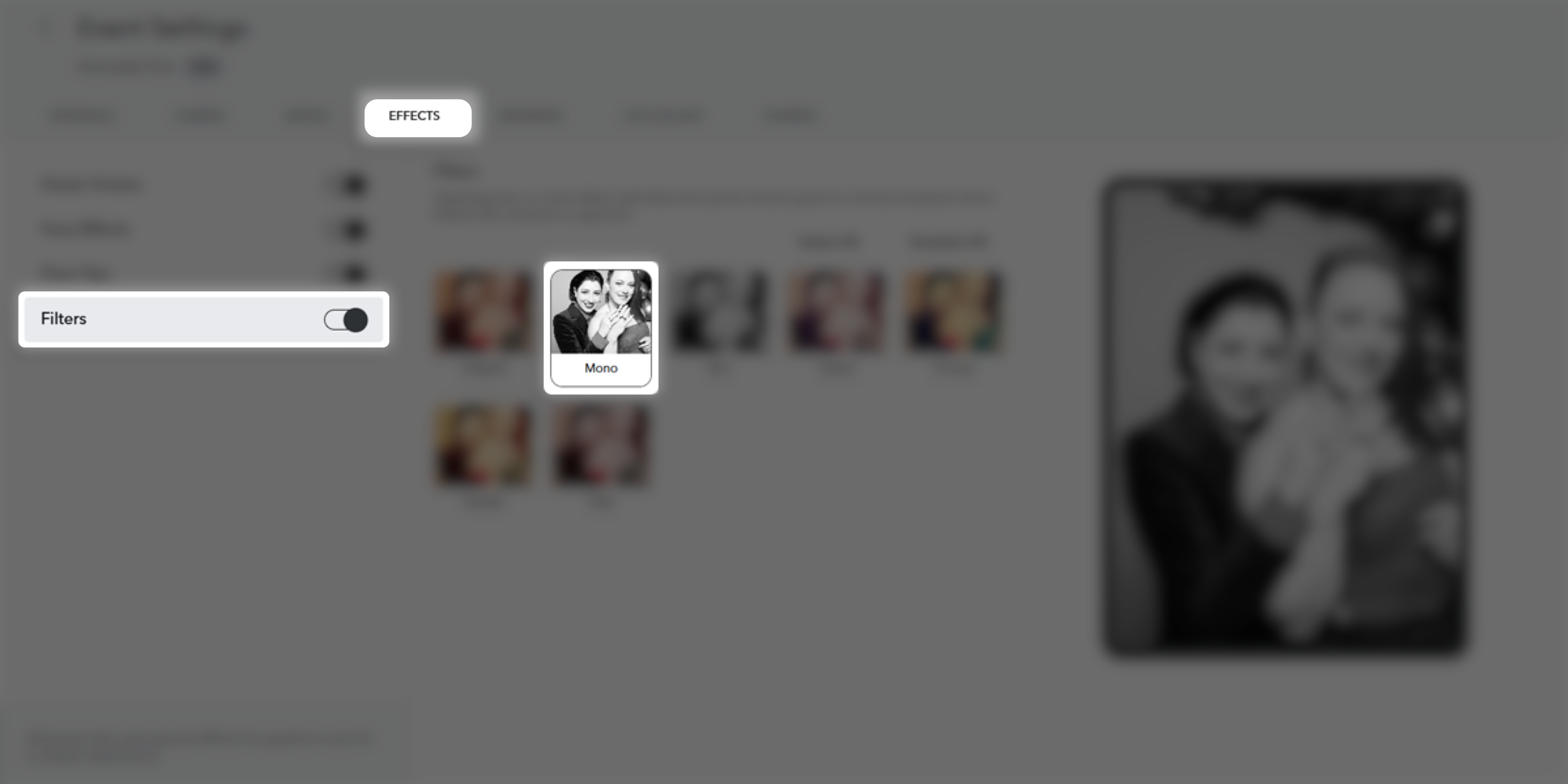 How To - Turn On Mono Filter.png
