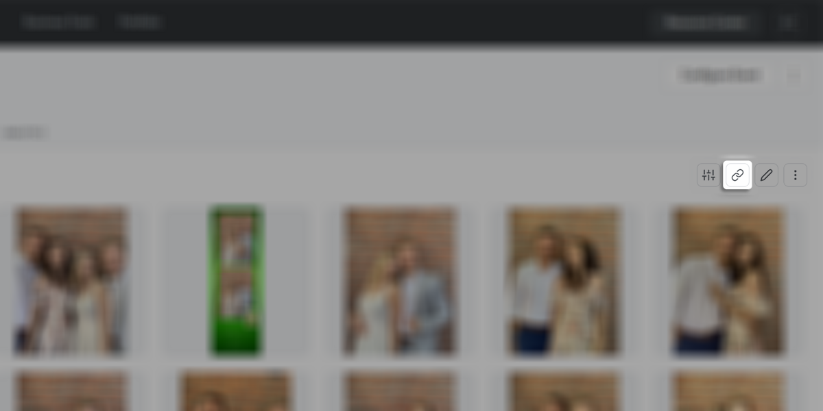 HowTo-ViewTheLiveGallery.png